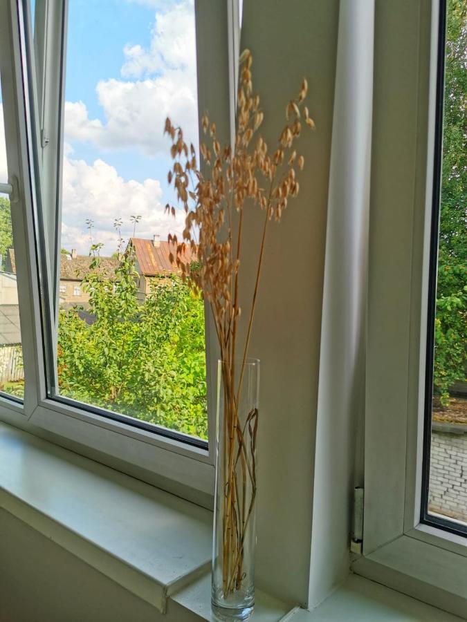 Tolstoi Scandinavian 1 Bedroom Apartment + Free Parking Tartu Exterior foto